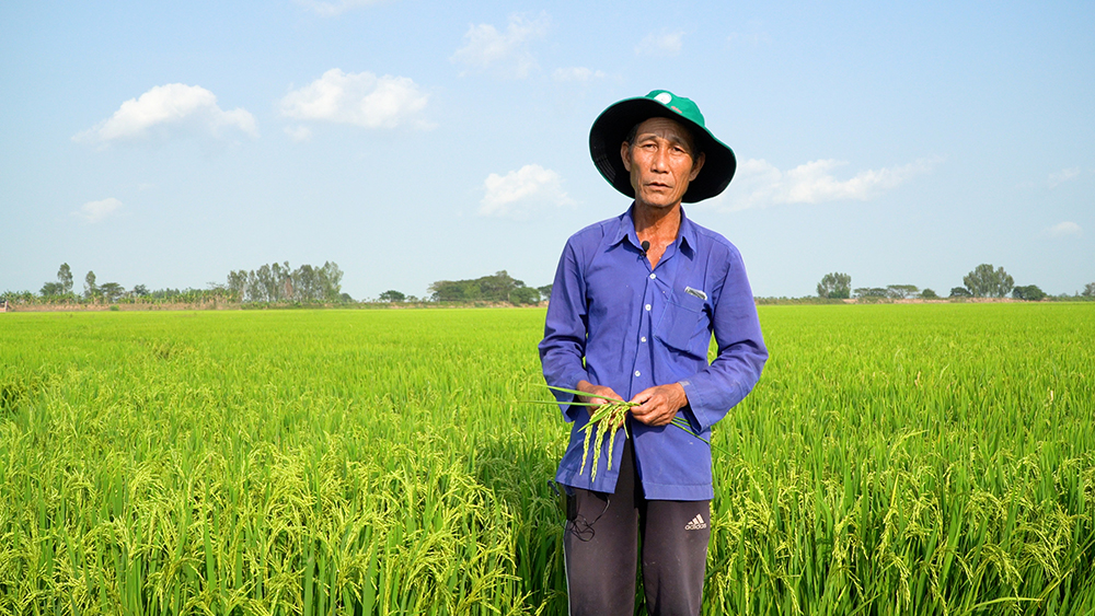 Nha nong Nguyen Van Tao Dong Thap Sen Hong