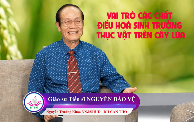 GS.TS Nguyễn Bảo Vệ - Vai trò chất điều hoà sinh trưởng trên cây lúa