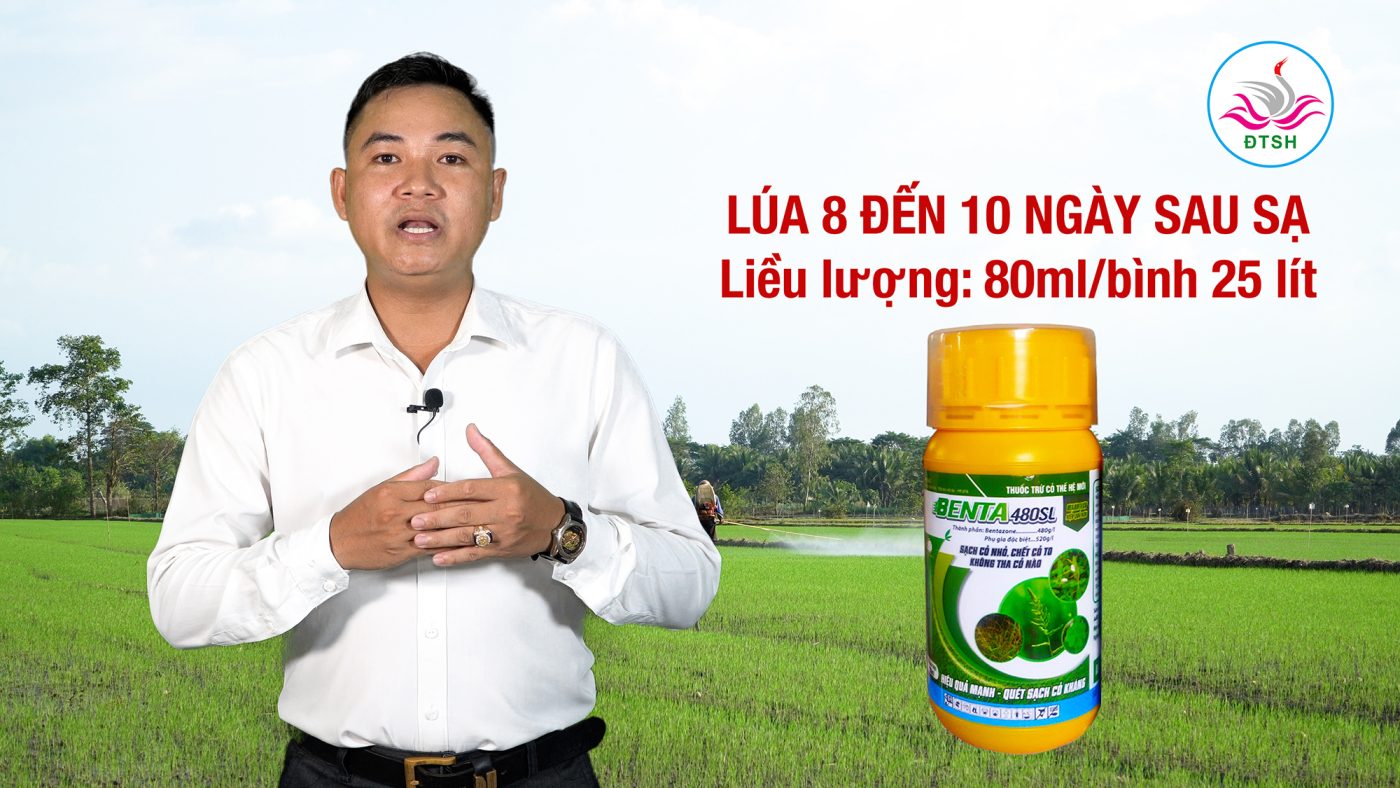 Thuốc trừ cỏ BENTA 480SL