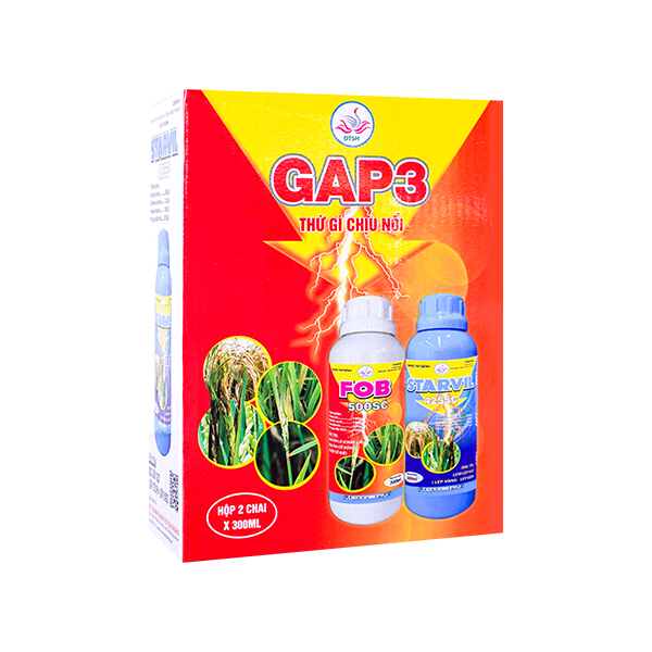 GAP3 GAP3