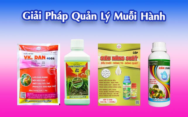 Hình 9. Giải Pháp Quản Lý Muỗi Hành