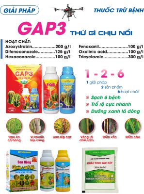 Hình 9: Sản phẩm GAP3, Qúa Xá Tốt và KHẮC TINH SÂU RẦY