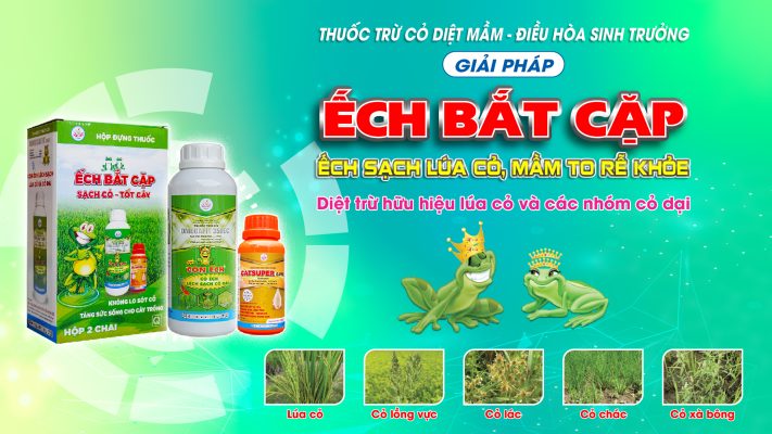 Hình 4. Giải pháp Ếch Bắt Cặp của Công ty TNHH BVTV Đồng Tháp Sen Hồng