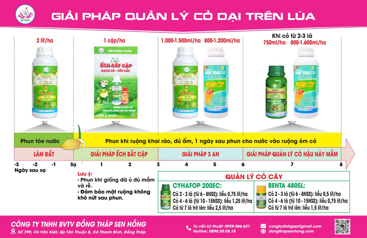 Quy trinh cỏ dại
