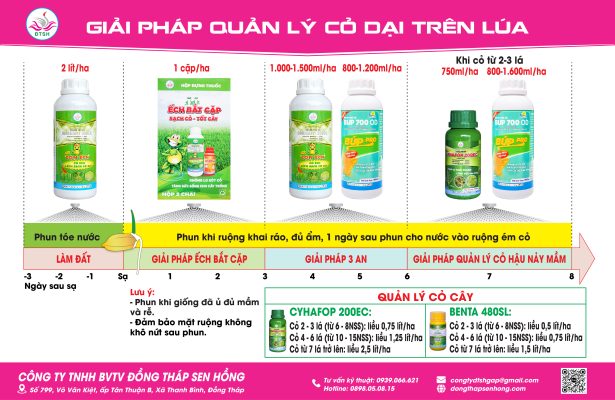 Quy trinh cỏ dại