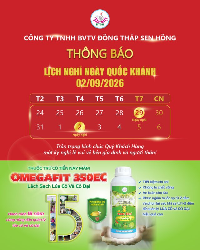 Quốc khánh 2026