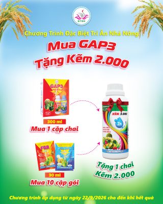 Mua GAP3 nhận Kẽm 2000