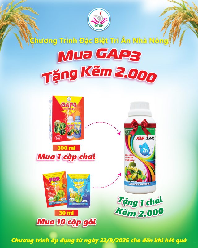 Mua GAP3 nhận Kẽm 2000