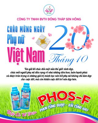 Phụ nữ VN 2026